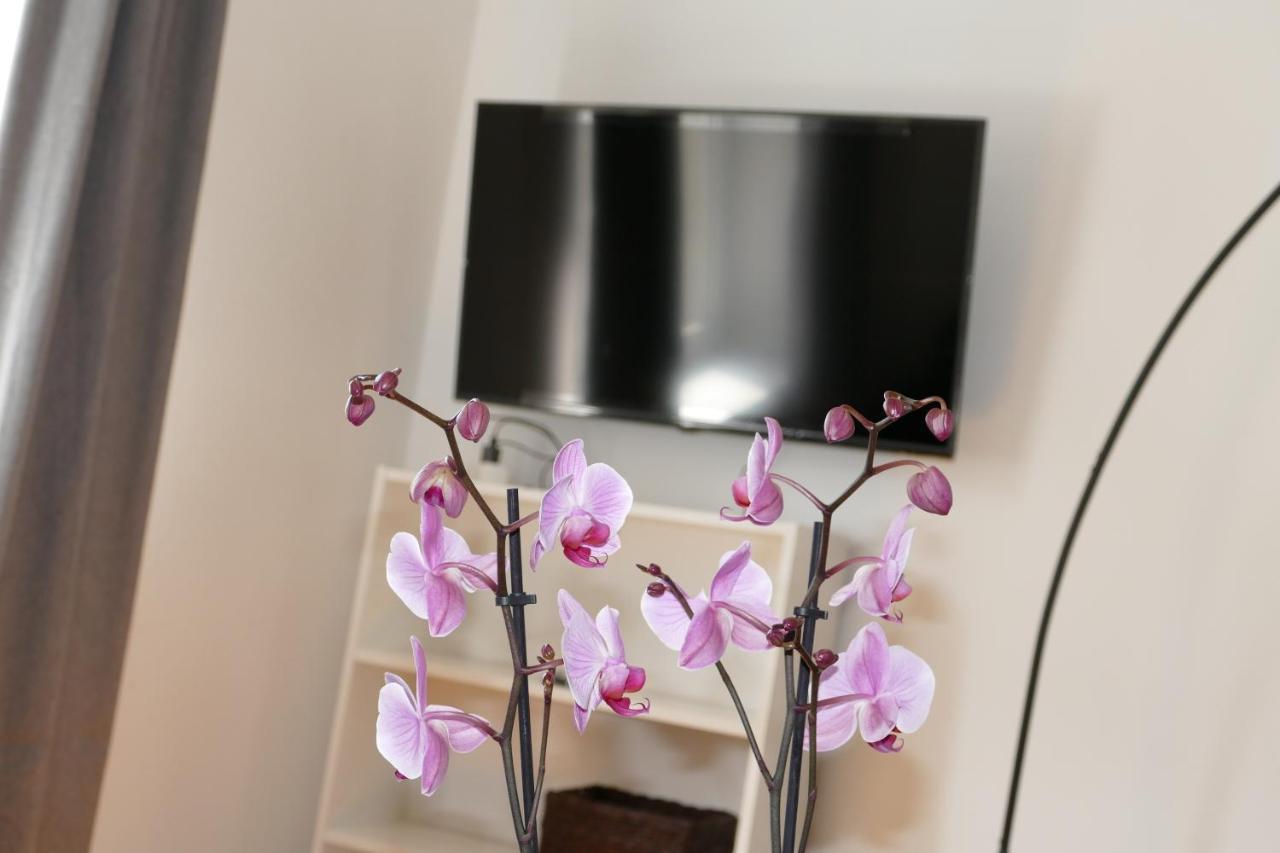 Stylish City Apartments Wina Bagian luar foto